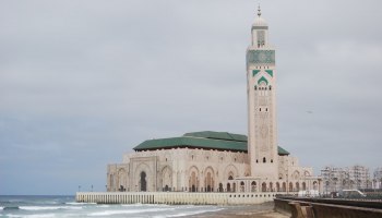 ✈️ Из Петербурга в Касабланку: теперь быстрее, чем пересмотреть одноимённый фильм!