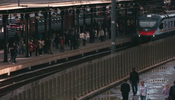 Штрафы для перекупщиков и РЖД без билетов: спасет ли это южные поездки?