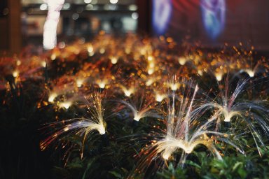 Виноград, бельё и чешуя: как мир встречает 2026 год с магией и юмором Виноград, бельё и чешуя: как мир встречает 2026 год с магией и юмором