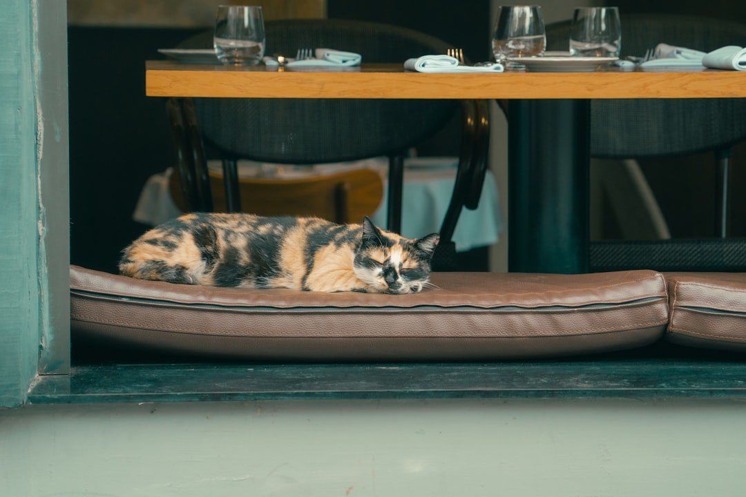 Звериный трэнд: в Завидово открылся первый pet-friendly апарт-отель с ценами от 10.5 тыс.₽ Звериный трэнд: в Завидово открылся первый pet-friendly апарт-отель с ценами от 10.5 тыс.₽