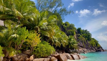 Сейшелы-2025: российские туристы врываются в топ-3 с рекордным ростом! 🌴✈️