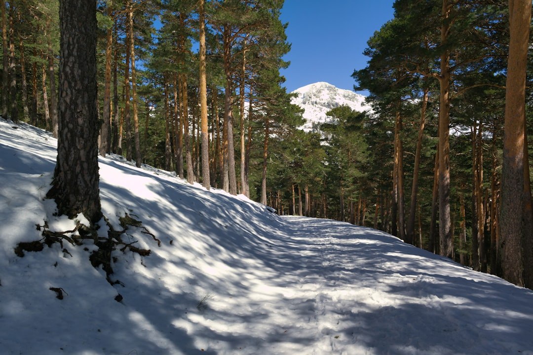 Российские биатлонисты в изгнании: IBU продлил санкции до 2026 года ⛷️❄️ Российские биатлонисты в изгнании: IBU продлил санкции до 2026 года ⛷️❄️