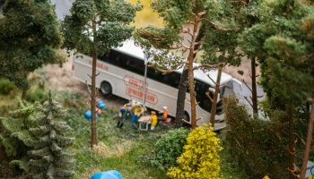 Крымские лагеря закрыты: детей эвакуируют в Анапу и Сочи