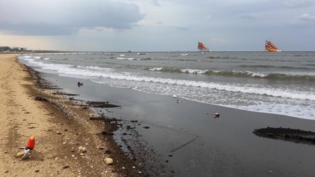Пляжи Анапы закрыты: разлив мазута оставил курорт без купания Пляжи Анапы закрыты: разлив мазута оставил курорт без купания