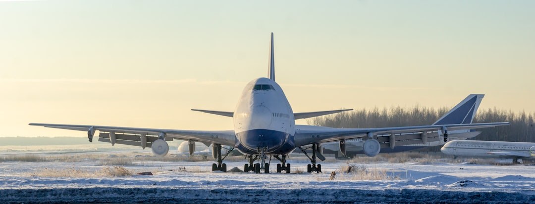 Москва в снежном плену: аэропорты борются с 20-часовыми задержками рейсов