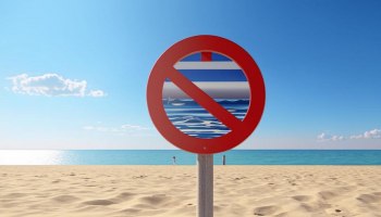 Анапа-2025: купание запрещено, но отдых возможен!