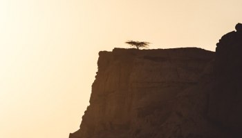 Рейсы в обход Ирана и паспортные перлы: как турбизнес встретил 2026 год