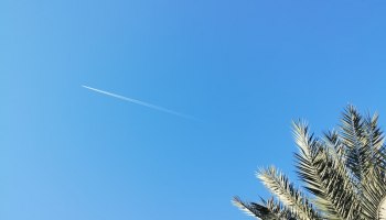 Суд по делу &laquo;Библио-Глобус&raquo; vs Express Airline: иск на $6 млн, заседание перенесено на апрель 2026