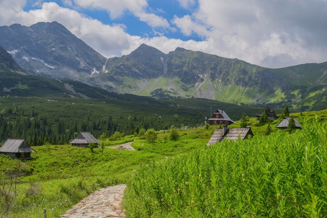 Россияне массово переходят на ЗОЖ-турне: рекорды wellness-туризма в 2025!