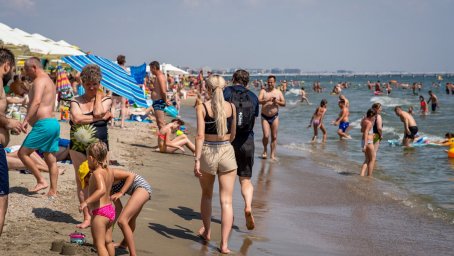 Российское Черноморье побеждает: Краснодар край рвёт вперёд, Абхазия в минусе Российское Черноморье побеждает: Краснодар край рвёт вперёд, Абхазия в минусе