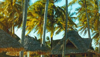 All Inclusive на Занзибаре: Турция отдыхает? Честный разбор системы 2026