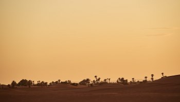 Air Arabia связала Екатеринбург и Рас‑эль‑Хайму прямым рейсом: когда лететь и что смотреть