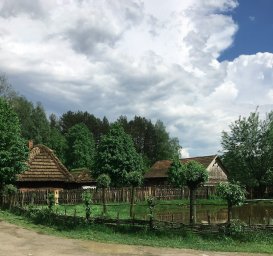 Ярославль против лагерей-невидимок: куда теперь девать детей?