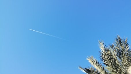Суд по делу &laquo;Библио-Глобус&raquo; vs Express Airline: иск на $6 млн, заседание перенесено на апрель 2026