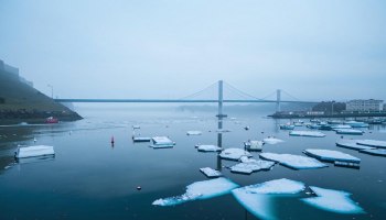 Владивосток 2025: весенний бум туризма и новые цены на отдых