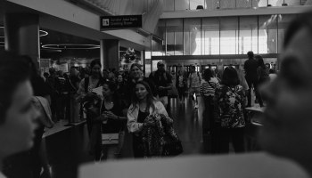 ✈️ Овербукинг: Теперь авиакомпании заплатят за ваши нервы и билеты!