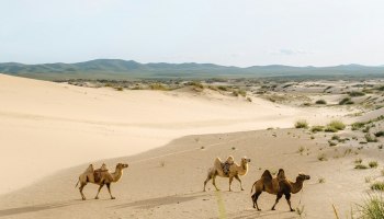 Монголия: Степь, кочевники и кашемир &mdash; почему туристы едут за горизонт?