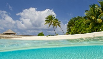 Россияне обогнали Китай: Мальдивы теперь наш курортный рай! 🌴✈️