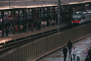 Штрафы для перекупщиков и РЖД без билетов: спасет ли это южные поездки? Штрафы для перекупщиков и РЖД без билетов: спасет ли это южные поездки?
