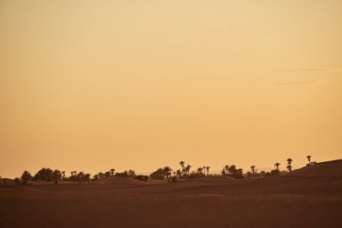 Air Arabia связала Екатеринбург и Рас‑эль‑Хайму прямым рейсом: когда лететь и что смотреть Air Arabia связала Екатеринбург и Рас‑эль‑Хайму прямым рейсом: когда лететь и что смотреть