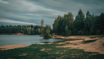 Загородный рай под Петербургом: бассейн, москвичи и цены без паники