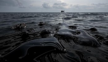 Мазут в Черном море: что делать, если вы уже влипли?