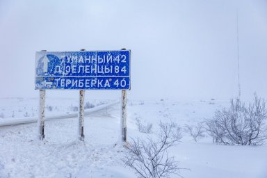 Арктический рейтинг-2025: Где туристам светит информация, а где – вечная мерзлота? Арктический рейтинг-2025: Где туристам светит информация, а где – вечная мерзлота?