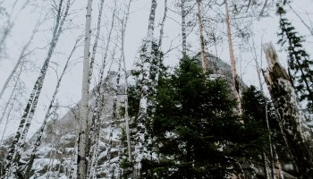 Российские туристы в 2026: Новый год разбросал всех от Рязани до Владивостока!